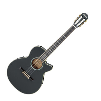 Ibanez AEG10N