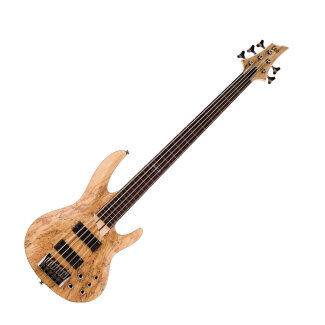 ESP B205 Fretless Bass