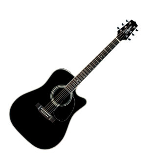 Takamine EF314SC Acoustic