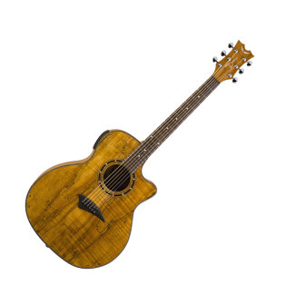 Dean Exotica Spalt Maple