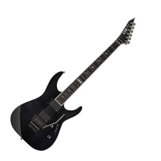 ESP LTD M-1000 Guitar