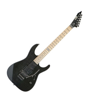 ESP LTD M-103FM Guitar