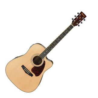 Ibanez PF-25ECE Guitar