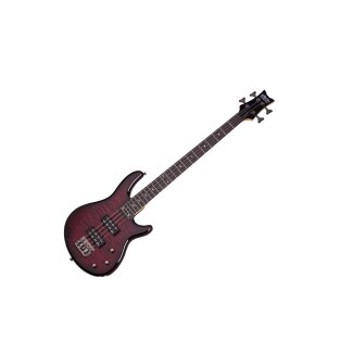 Schecter Raiden Special 4