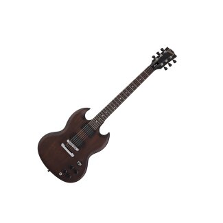 Gibson SGJ Guitar