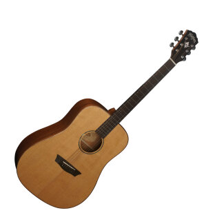 Washburn WD760SW Guitar