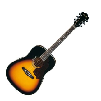 Ibanez SGT120 Sage Series