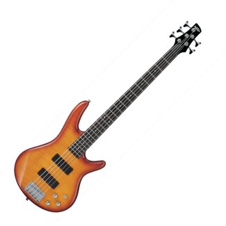 Ibanez GSR205 5-String