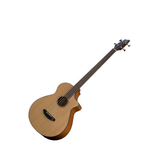 Breedlove Solo BJ350 CME4