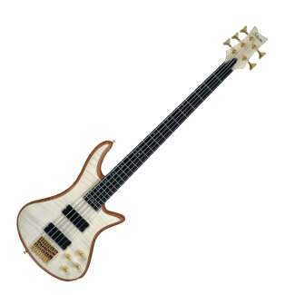 Stiletto Custom 5-String