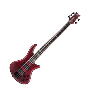 Stiletto Custom 5-String