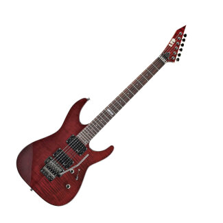 ESP LTD M-100FM Guitar