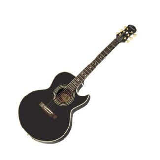 Epiphone PR5-E Acoustic