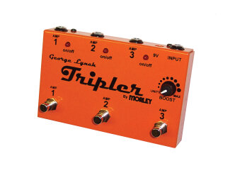 Morley Lynch Tripler