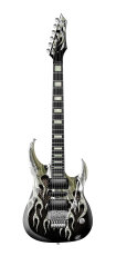 large product image