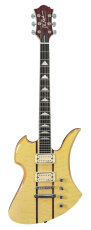 large product image