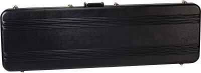 Peavey Bass Case