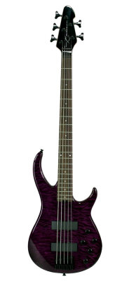 Peavey Millennium 5