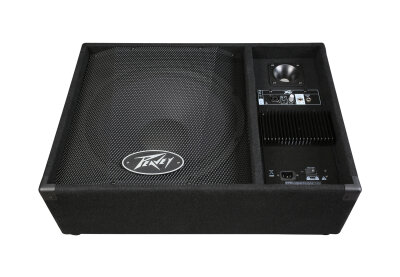 Peavey PV115PM PA Speaker