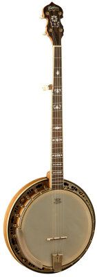 Washburn B120 Banjo