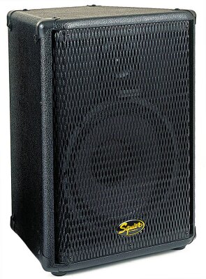 Squier SQ10 PA Speaker
