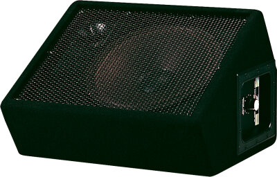 Peavey 112M Floor Monitor