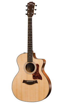Taylor 114ce Cutaway
