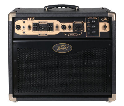 Peavey E110 Ecoustic