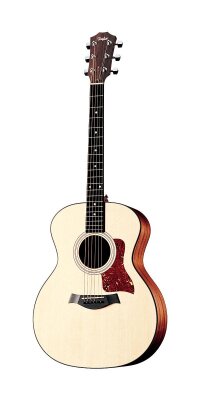 Taylor 314