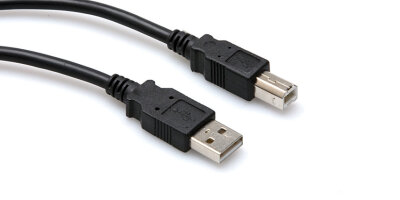 Hosa USB 2.0 Cable