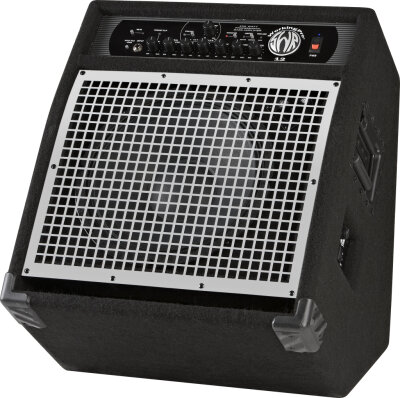 SWR WorkingPro 12 Amp