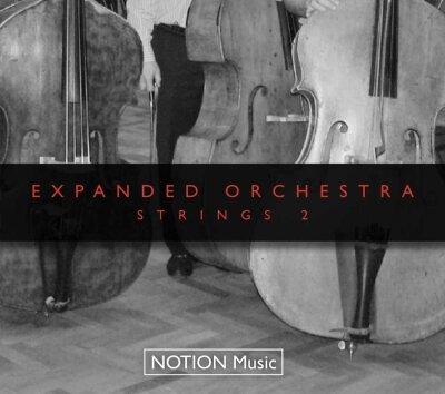 Notion Strings 2