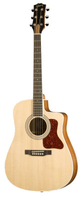 Gibson DSMCE Dreadnought