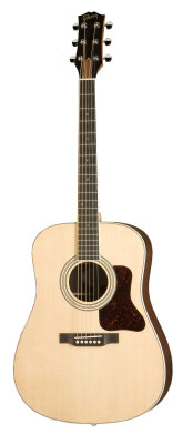 Gibson DSR Dreadnought