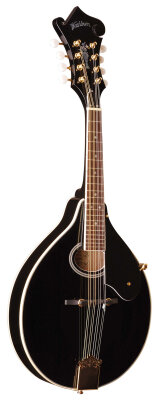 Washburn M1SDL Mandolin