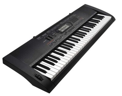 Casio CTK-3000 Keyboard