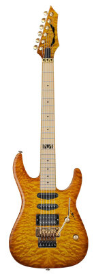 Dean Vinnie Moore Guitar