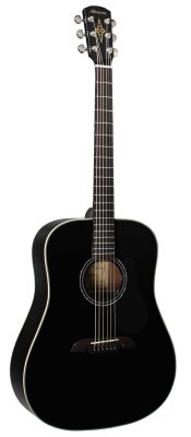Alvarez RD410 Acoustic