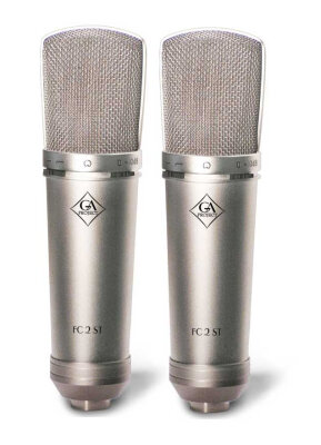 Golden Age FC2ST Mic Pair