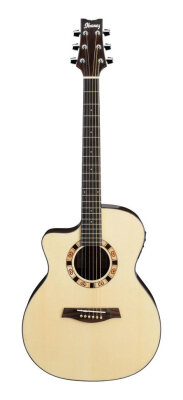 Ibanez A100LE Ambience