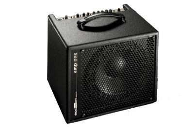 AER Amp One Bass Amp