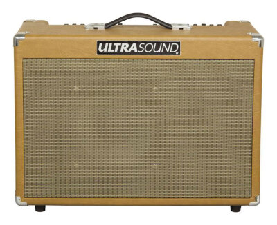 UltraSound PRO-250 Amp