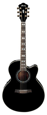 Ibanez AEL30SE Acoustic