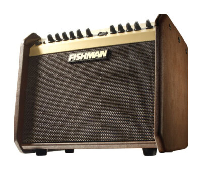 Fishman Loudbox Mini Amp