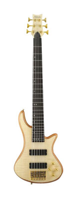 Schecter Stiletto Custom6