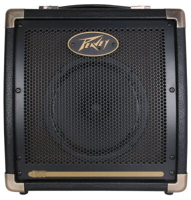 Peavey Ecoustic E20 Amp