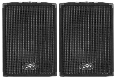 Peavey PVi 10 Loudpeakers