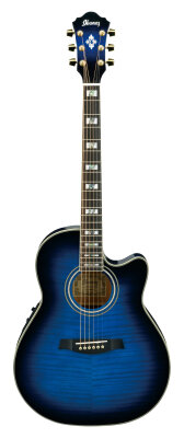 Ibanez AEF30