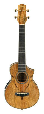 Ibanez UEW20SGE Ukulele
