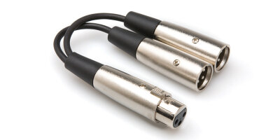 Hosa XLR-F to Dual XLR-M